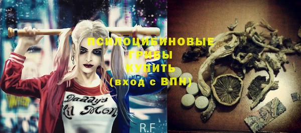 mdpv Новодвинск
