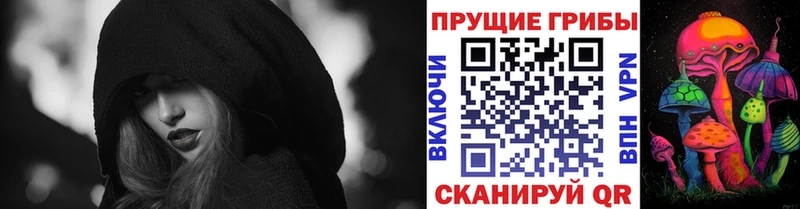 hydra ссылка  Карачаевск  Галлюциногенные грибы ЛСД 